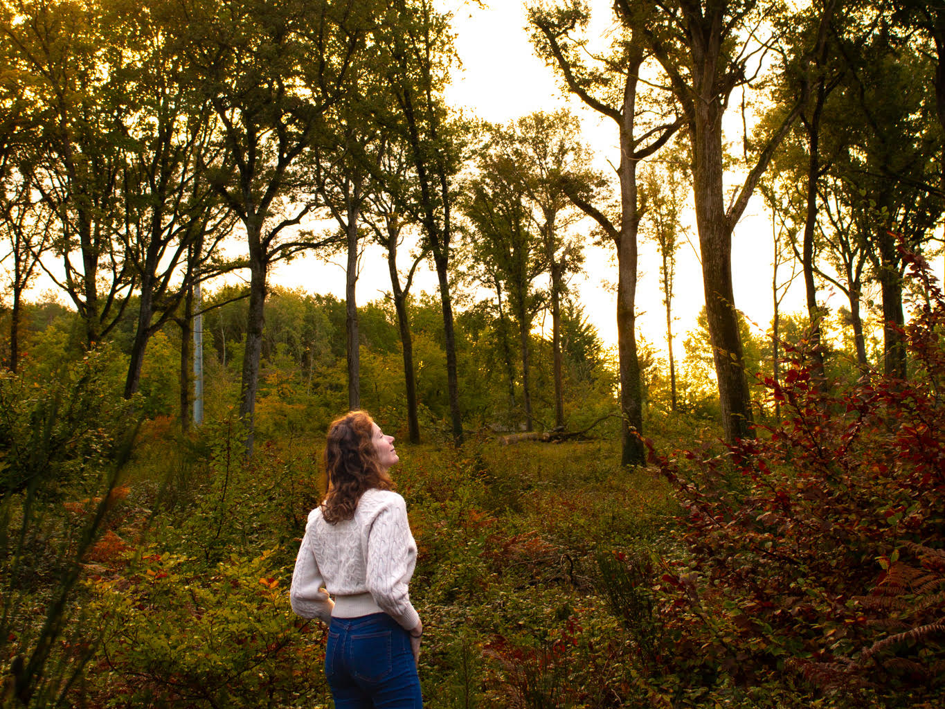Une femme se balade dans les bois. Les mains posées sur ses jambes, elle respire et savoure l'instant.